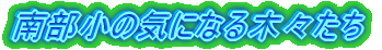 �암���w�Z��������}�b�v  