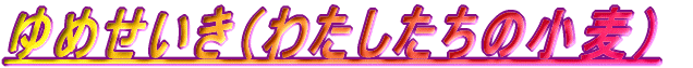 ゆめせいき(わたしたちの小麦)