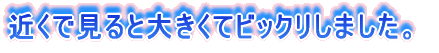 ߂ŌƑ傫ărbN܂B
