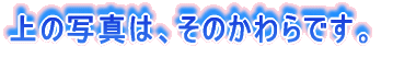 ̎ʐ^́ÂłB