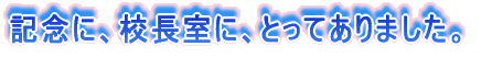 LOɁAZɁAƂĂ܂B