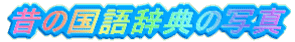 昔の国語辞典の写真