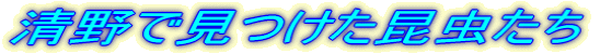 Ō