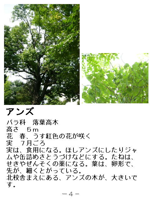 1y[W