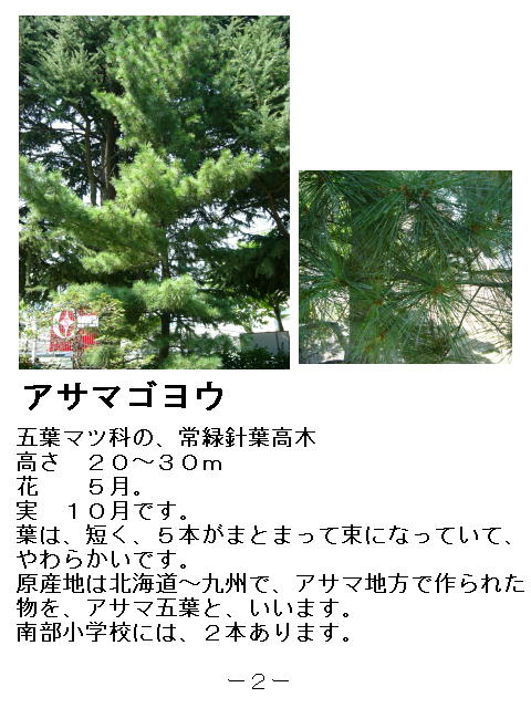 1y[W