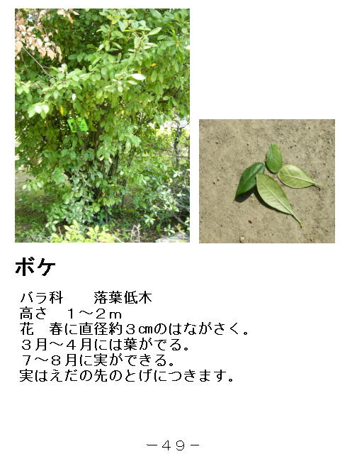 1y[W