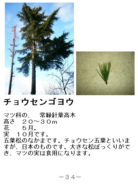 1y[W