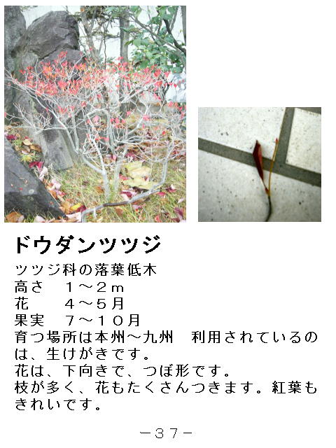 1y[W