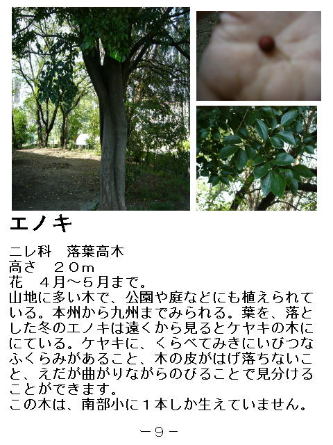 1y[W
