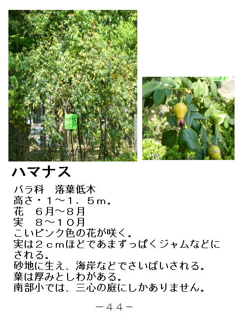 1y[W
