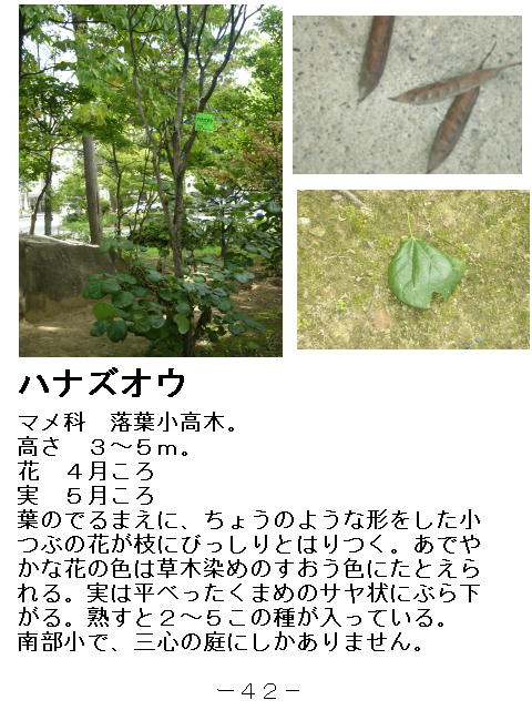 1y[W