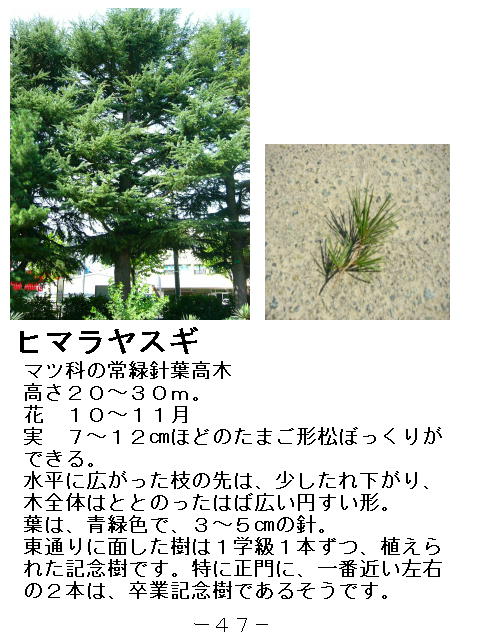 1y[W