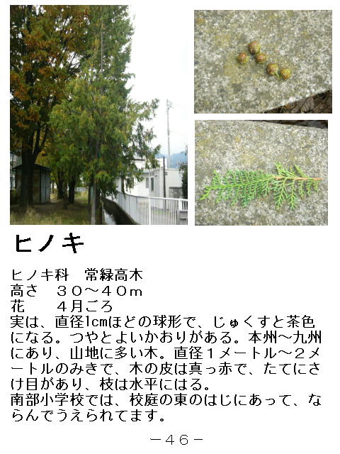 1y[W