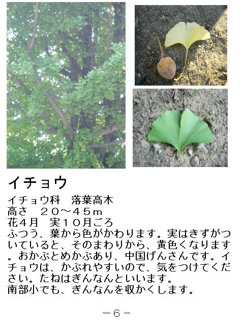 1y[W