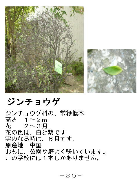 1y[W