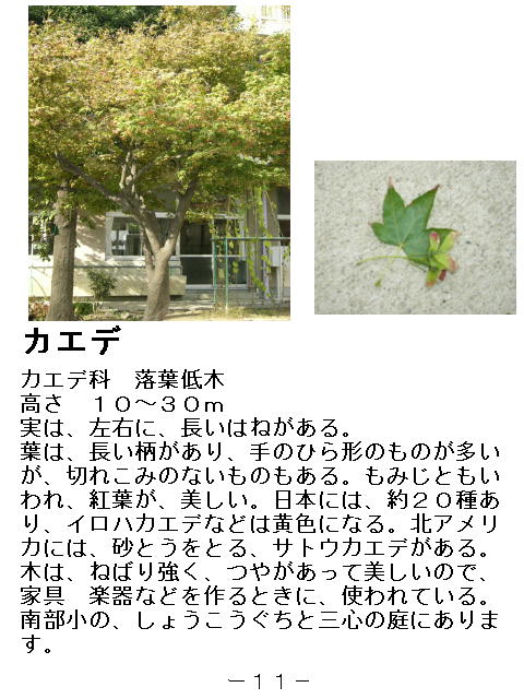1y[W