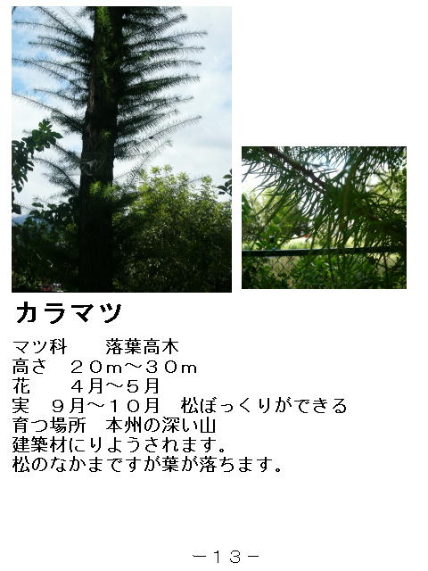 1y[W