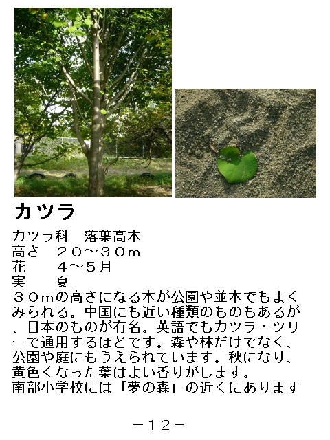 1y[W
