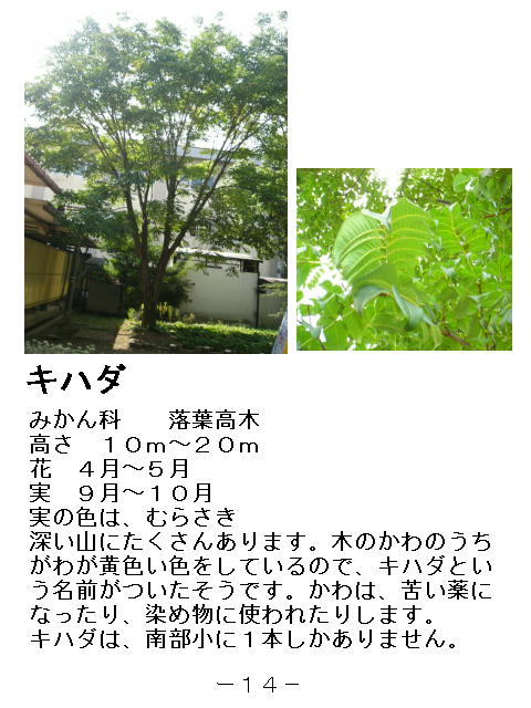 1y[W