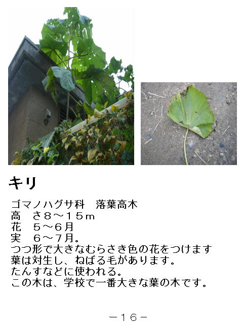 1y[W
