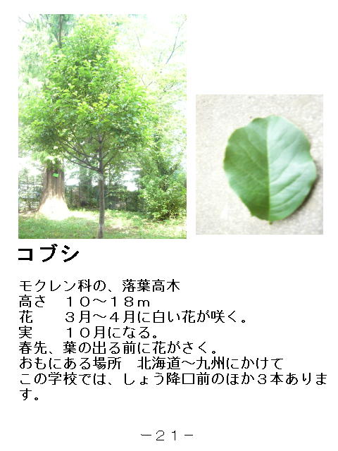 1ページ
