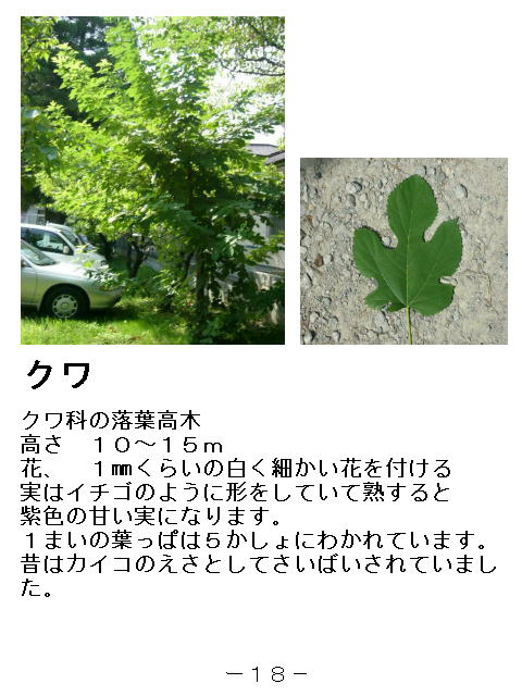 1y[W