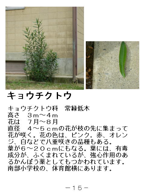 1ページ