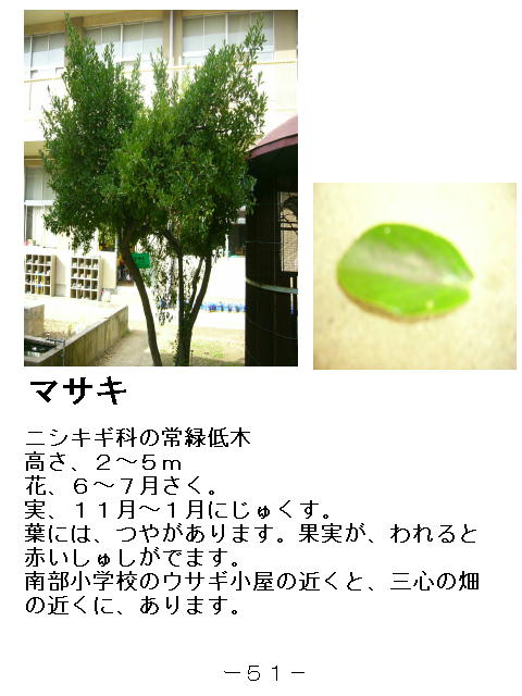 1y[W