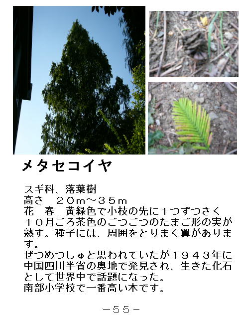 1y[W