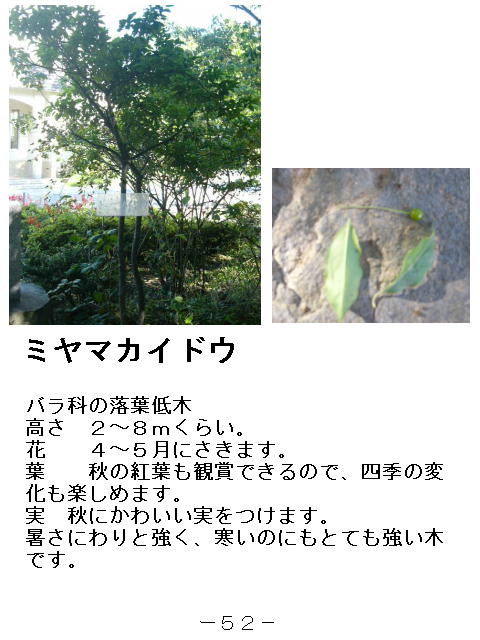 1y[W
