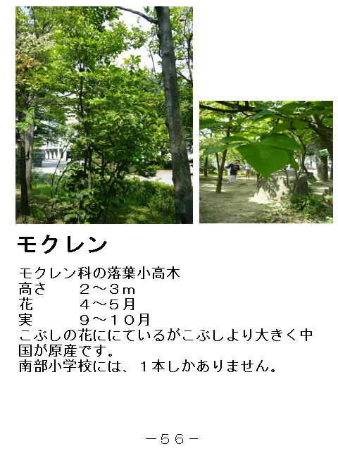 1y[W