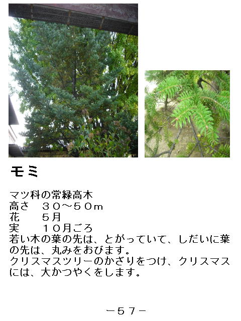 1y[W