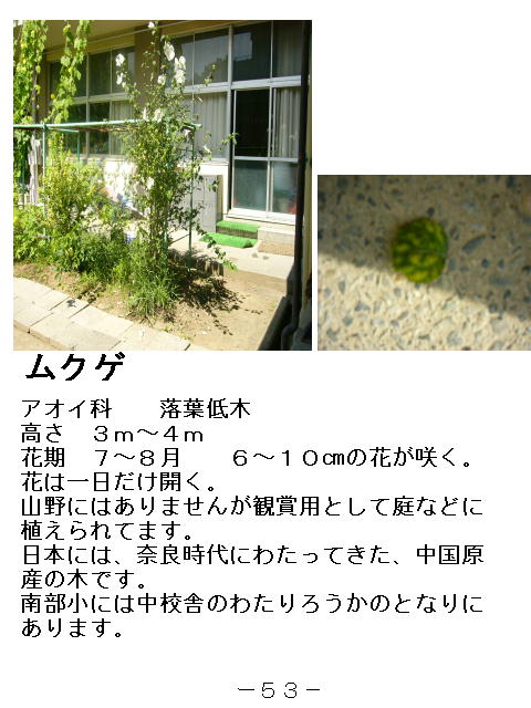 1y[W