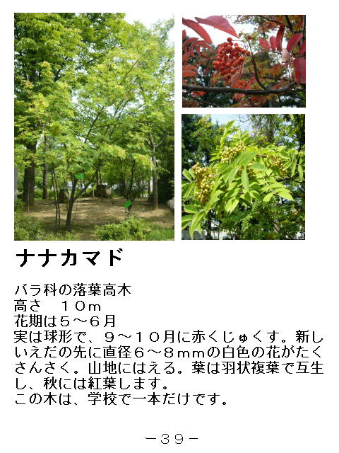 1ページ