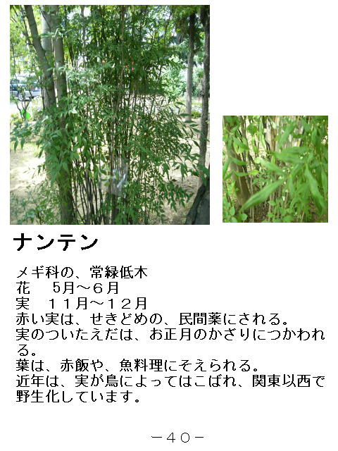 1y[W