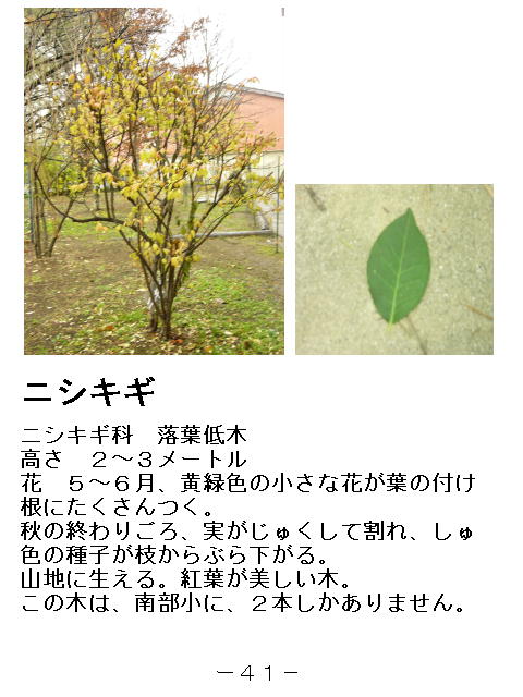 1y[W