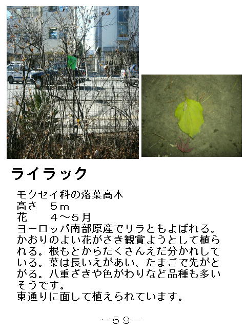 1y[W
