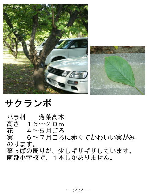 1y[W