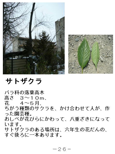 1y[W