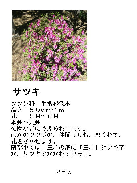 1ページ
