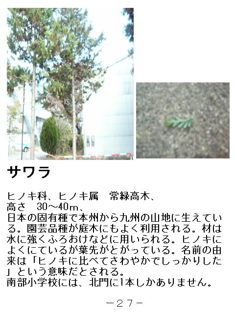 1ページ