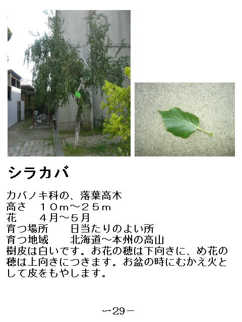 1y[W