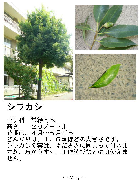 1y[W