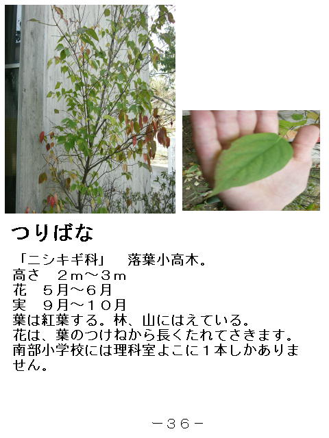 1y[W