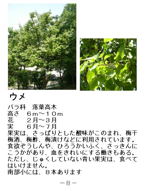 1ページ