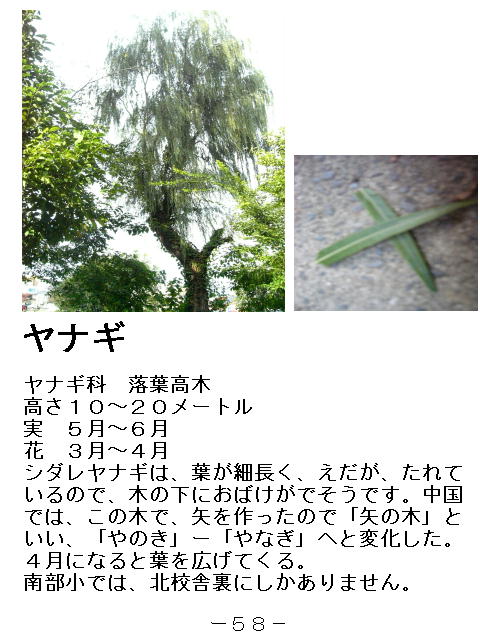 1y[W