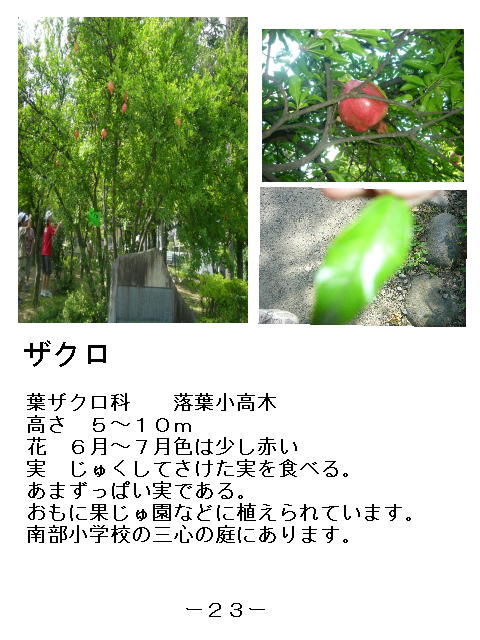 1y[W