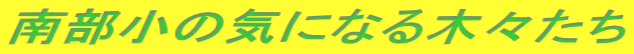 암̋CɂȂ؁X