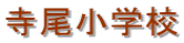 wZ