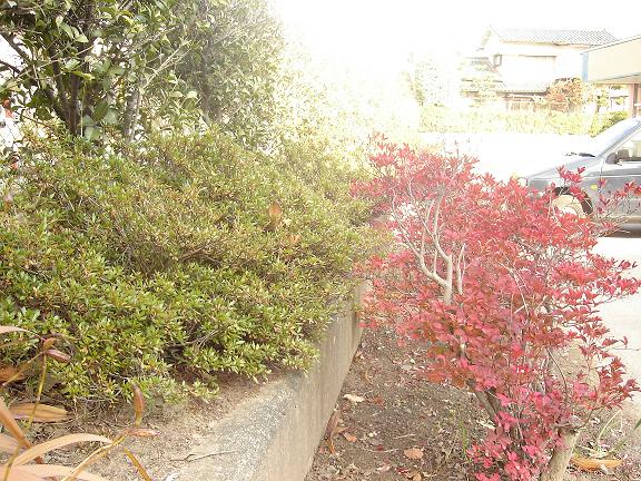 校門北側庭園